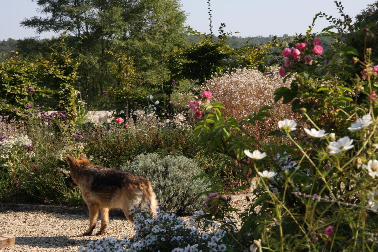 Touvre Chateau Manoir De La Leche المظهر الخارجي الصورة